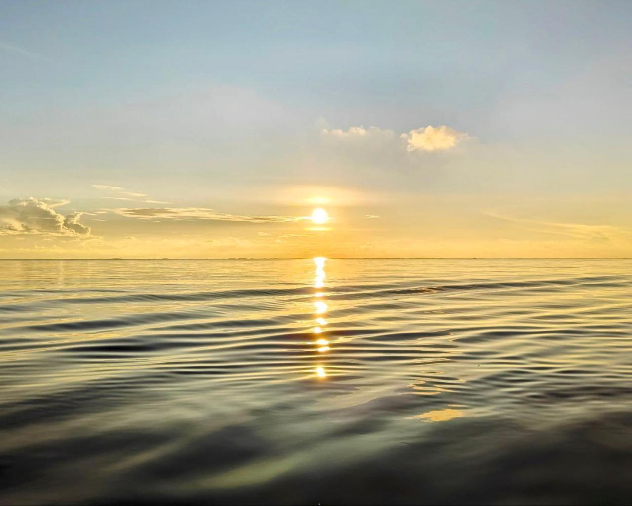 Bougan Villea Retreat Bodufolhudhoo Buitenkant foto