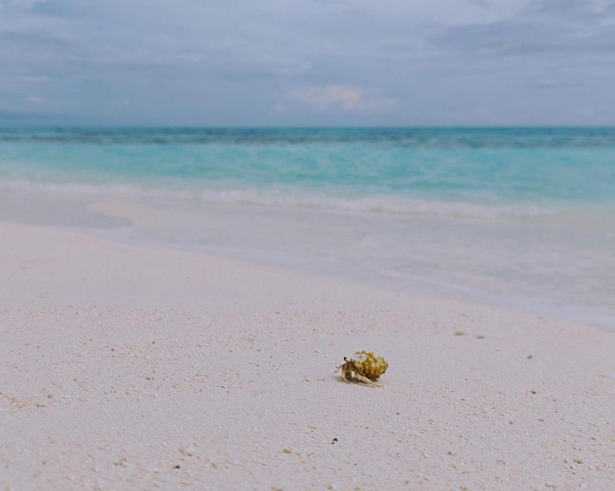 Bougan Villea Retreat Bodufolhudhoo Buitenkant foto